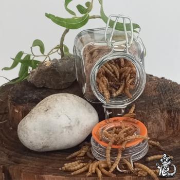 Mehlwurm getrocknet 1 bis 10 Liter